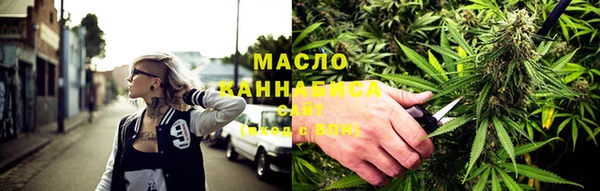мдпв Янаул
