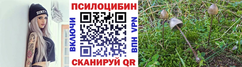 Псилоцибиновые грибы мухоморы  цена   Облучье 